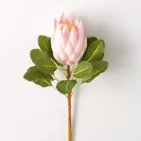 Light Pink King Protea Stem